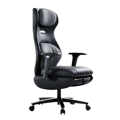EMIAH GT100 Ergonomic Gaming Chair with Lumbar Support EMIAH