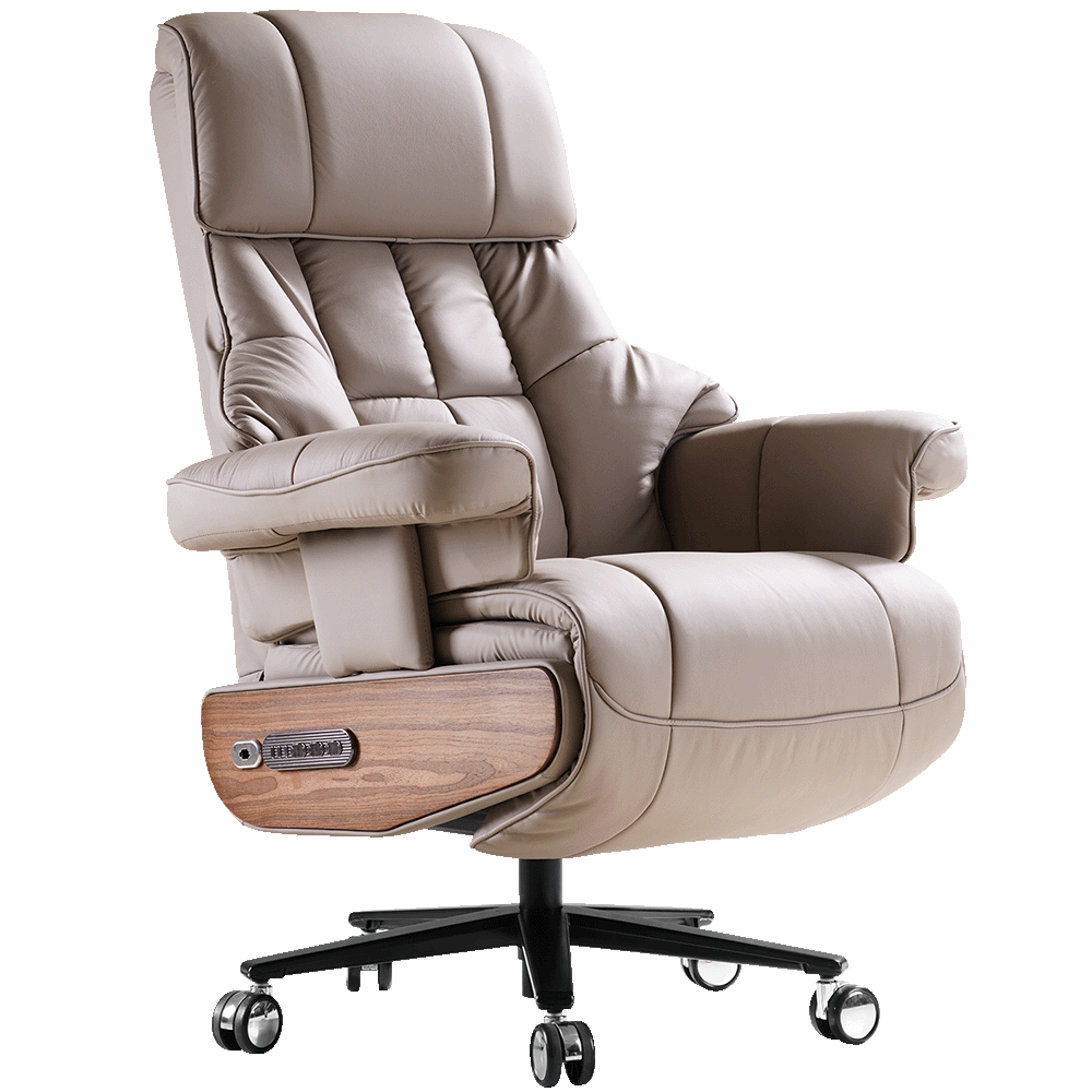 EMIAH S9 Electric Executive Office Chair