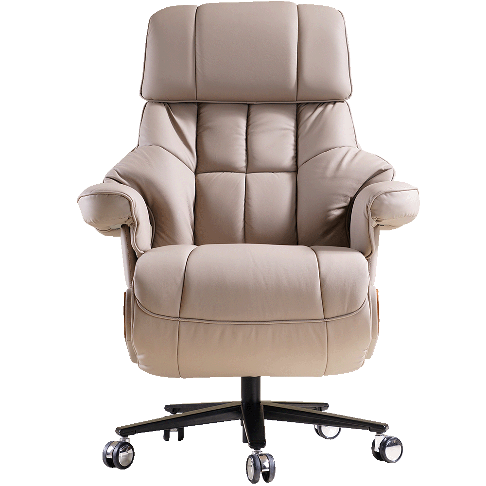 EMIAH S9 Electric Executive Office Chair