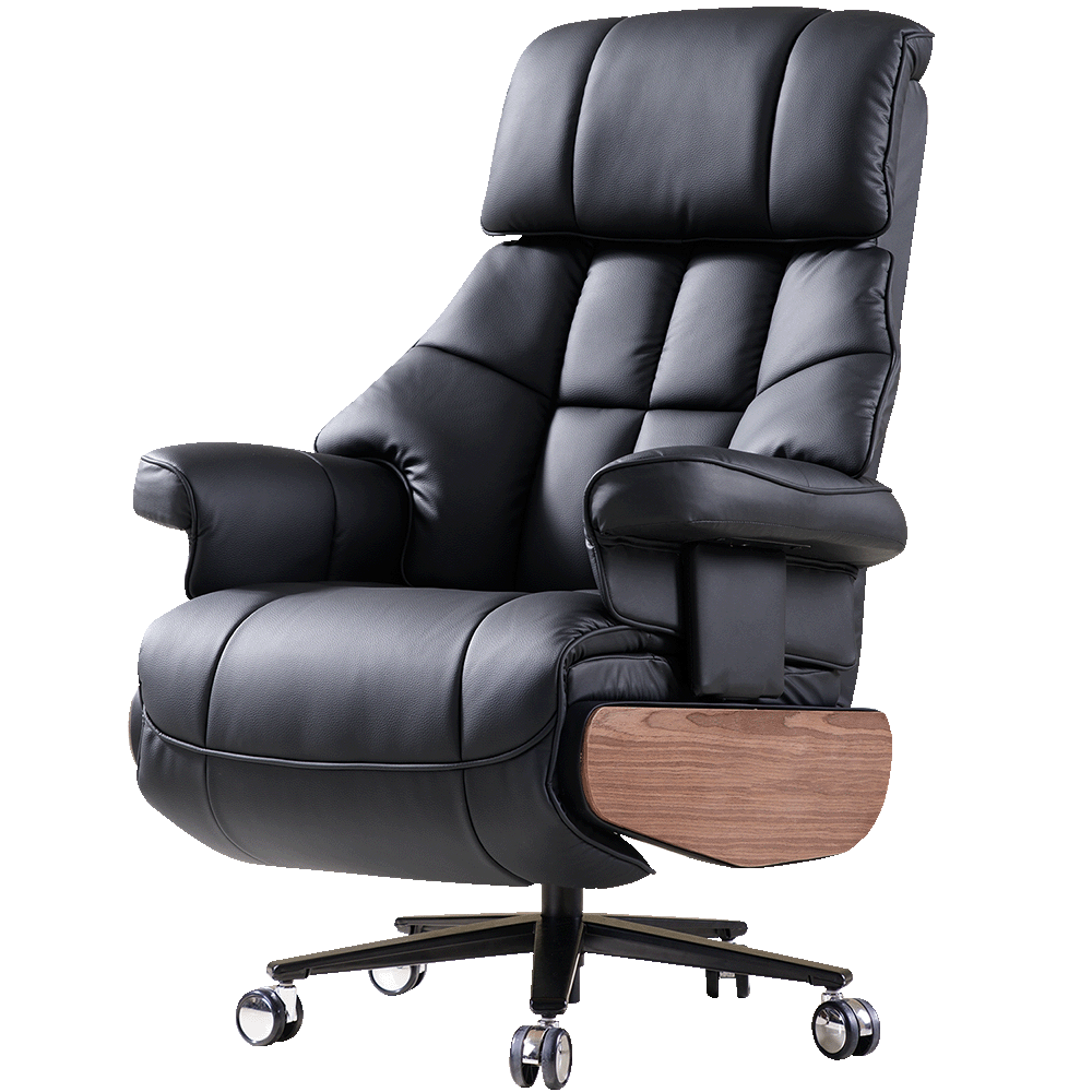 EMIAH S9 Electric Executive Office Chair